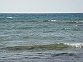 Western Michigan [2010] 876